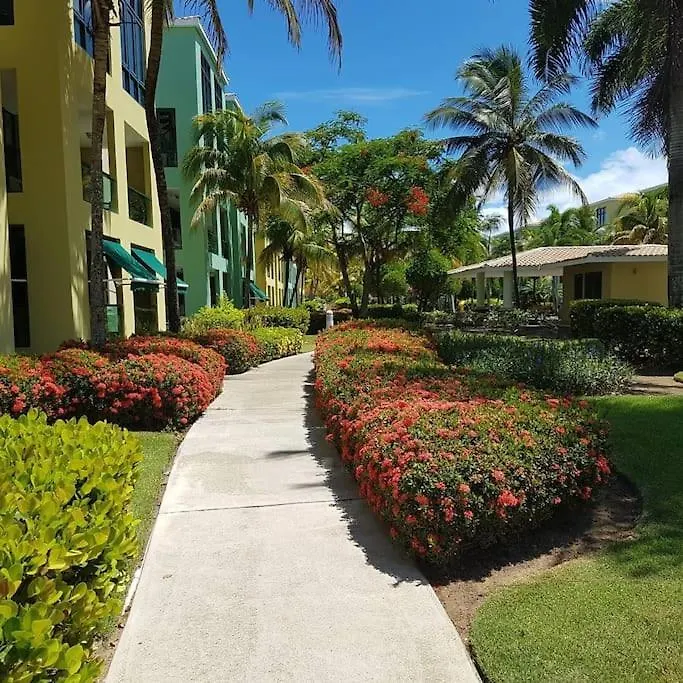 Slice Of Paradise At Aquatika Loiza